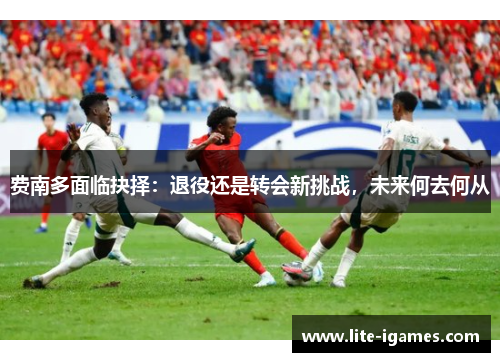 费南多面临抉择：退役还是转会新挑战，未来何去何从